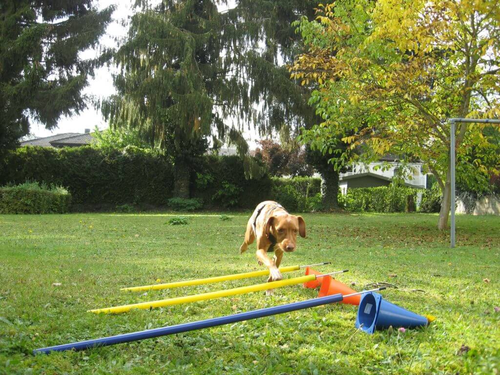 Lola_rennt_über_Slamlomstangen